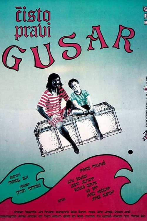 Постер: Čisto pravi gusar