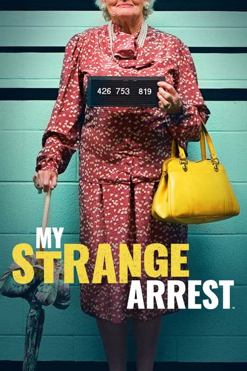 Постер: My Strange Arrest