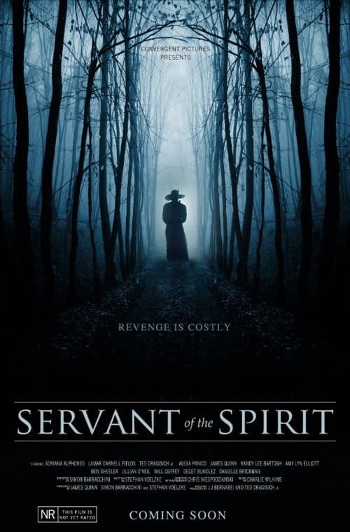 Постер: Servant of the Spirit