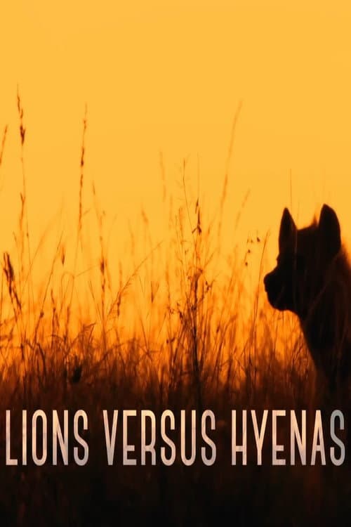 Постер: Lions versus Hyenas