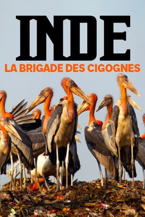 Постер: Inde, la brigade des cigognes