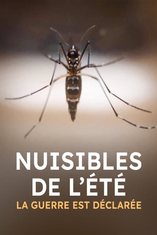 Постер: Nuisibles de l'été, la guerre est déclarée
