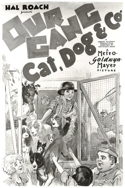 Постер: Cat, Dog & Co.