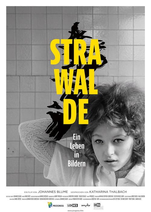 Постер: Strawalde - Ein Leben in Bildern