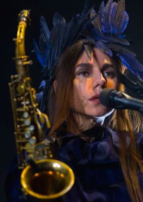 Постер: PJ Harvey aux Nuits de Fourvière