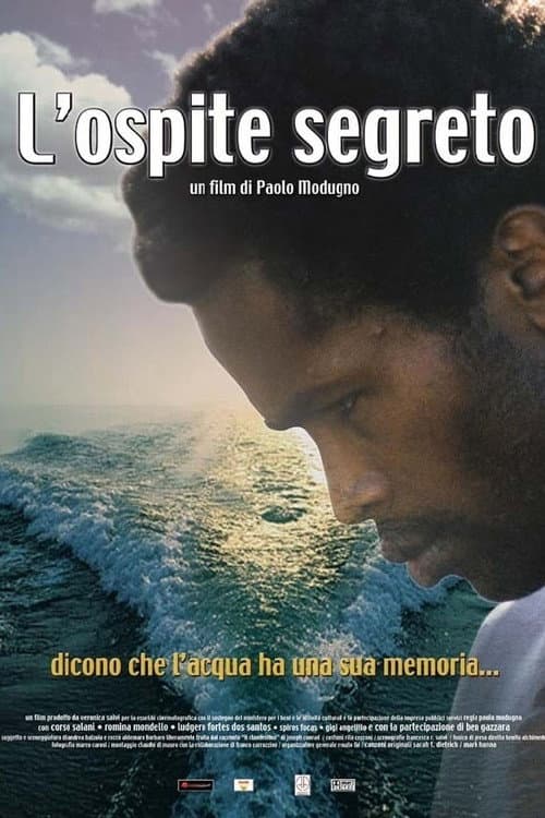 Постер: L'ospite segreto