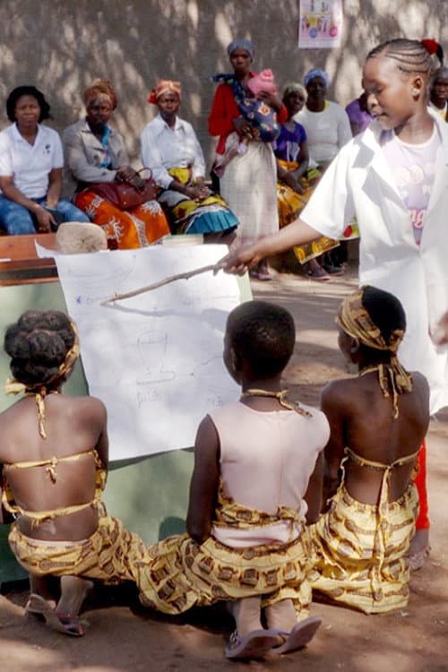 Постер: Développement: le cas Mozambique