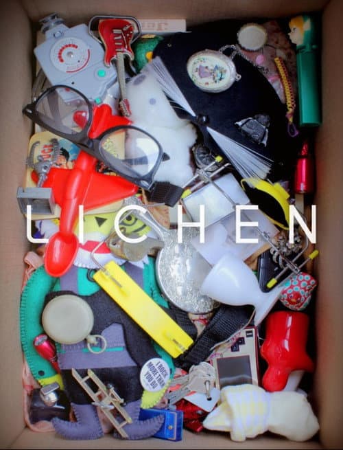 Постер: Lichen