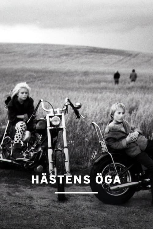 Постер: Hästens öga