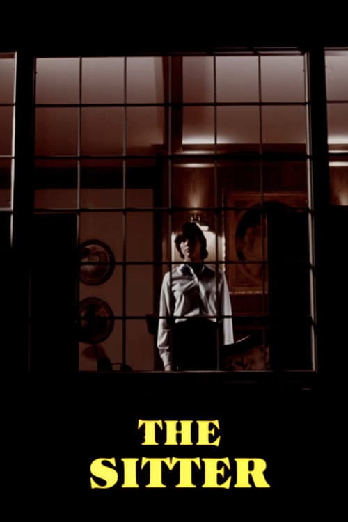 Постер: The Sitter