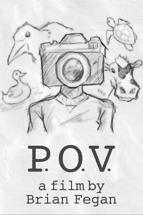 Постер: P.O.V.
