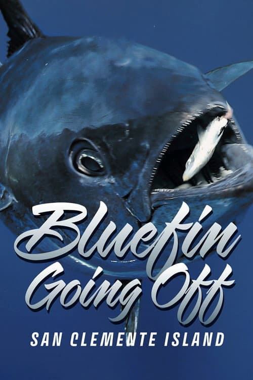 Постер: Bluefin Going Off at San Clemente Island