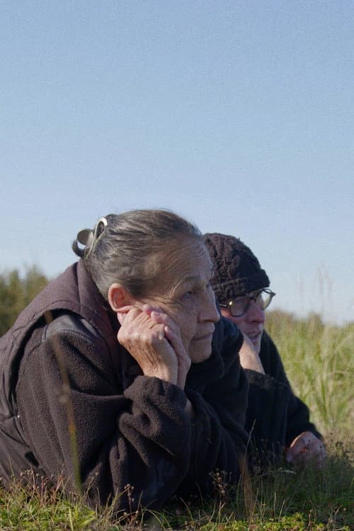 Постер: De la rivière à la mer