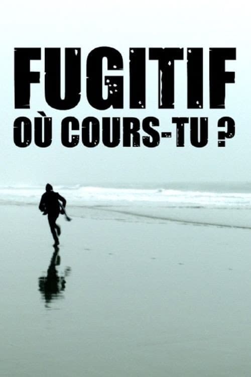 Постер: Fugitif, où cours-tu ?