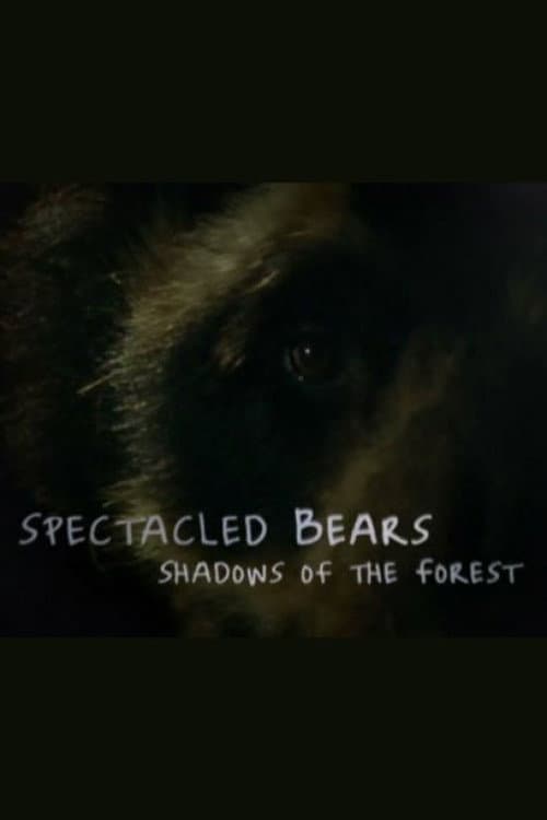 Постер: Spectacled Bears: Shadows of the Forest