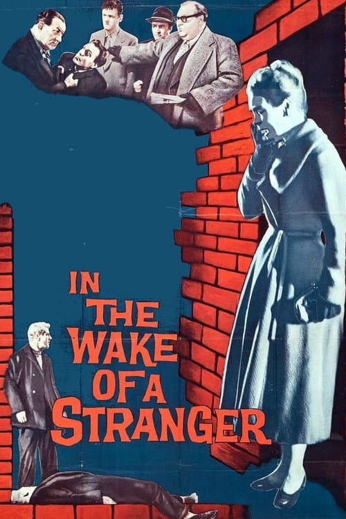Постер: In the Wake of a Stranger