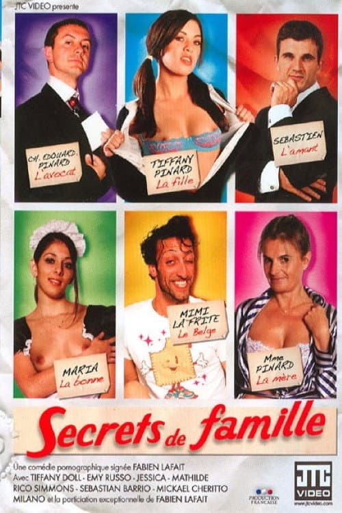 Постер: Secrets de famille