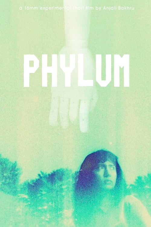 Постер: Phylum