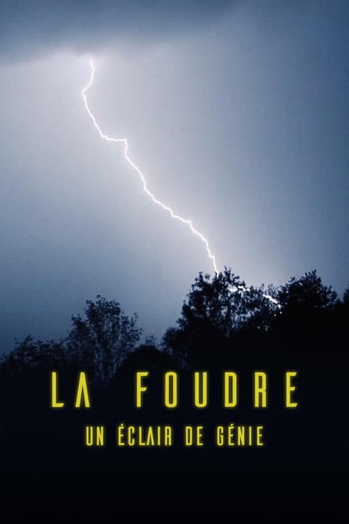 Постер: La foudre, un éclair de génie