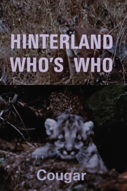 Постер: Hinterland Who's Who: Cougar