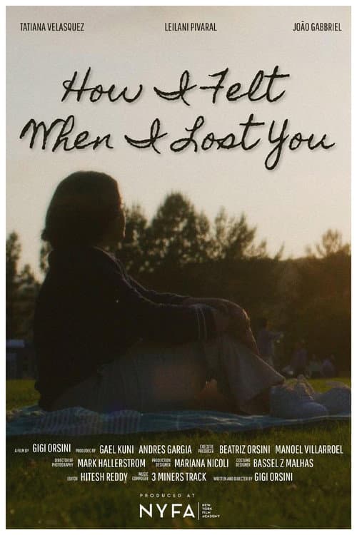 Постер: How I Felt When I Lost You