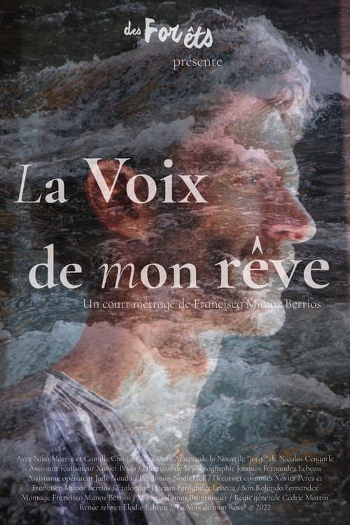 Постер: La voix de mon rêve