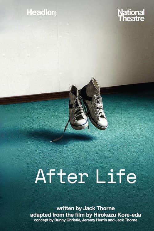 Постер: National Theatre Live: After Life