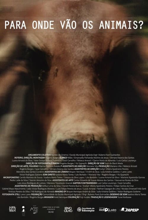 Постер: Para Onde Vão Os Animais