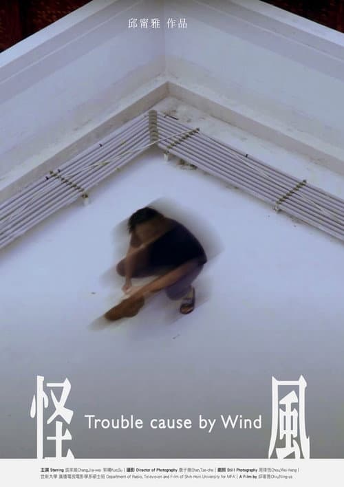 Постер: 怪風