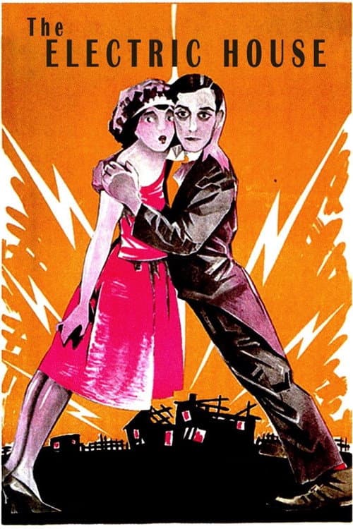 Постер: Электрический дом