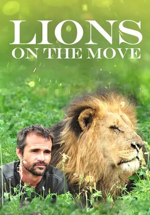 Постер: Lions on the Move