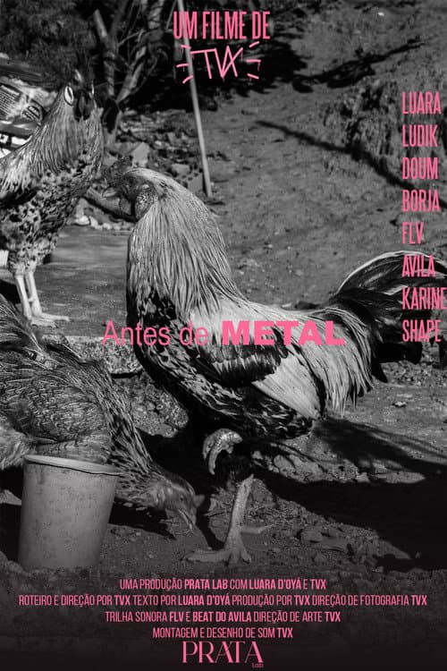 Постер: Antes de METAL