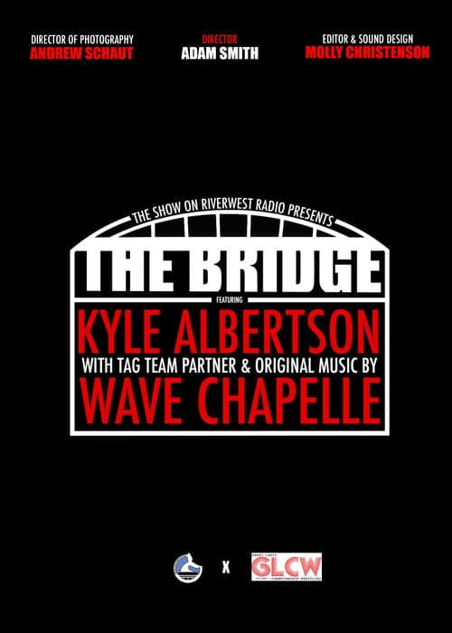 Постер: The Bridge