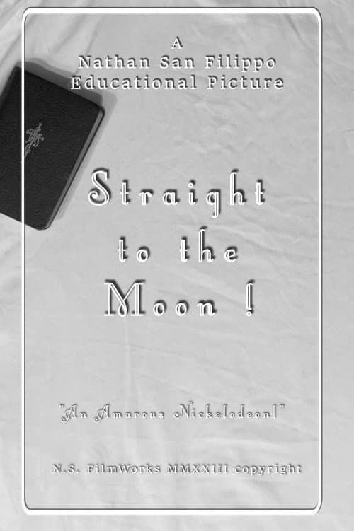 Постер: Straight to the Moon!