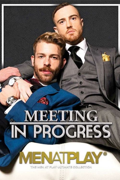 Постер: Meeting in Progress