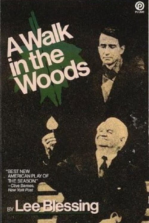 Постер: A Walk in the Woods