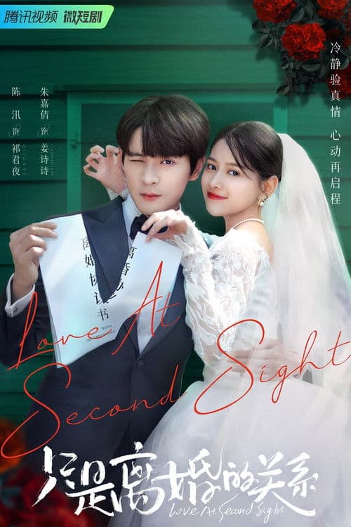 Постер: 只是离婚的关系