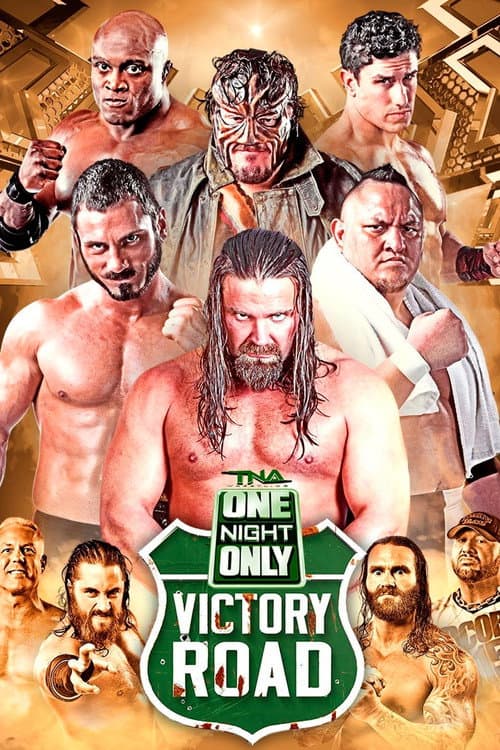 Постер: TNA One Night Only: Victory Road 2014