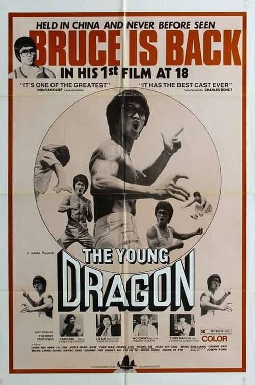 Постер: Young Dragon
