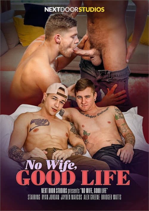 Постер: No Wife, Good Life