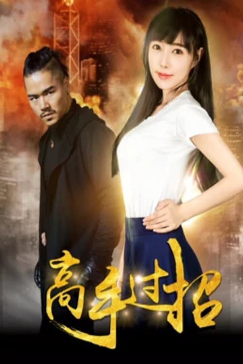 Постер: 高手过招