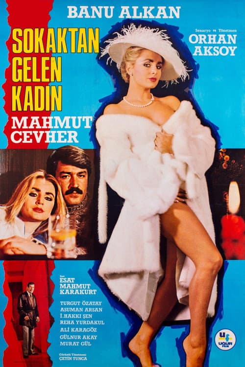 Постер: Sokaktan Gelen Kadın
