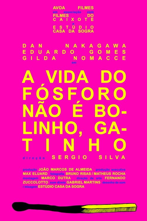 Постер: A Vida do Fósforo Não É Bolinho, Gatinho