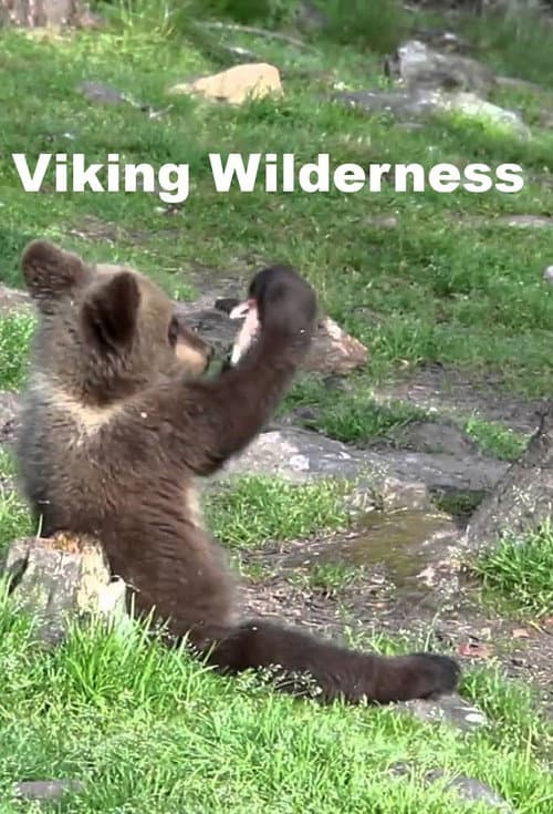 Постер: Viking Wilderness