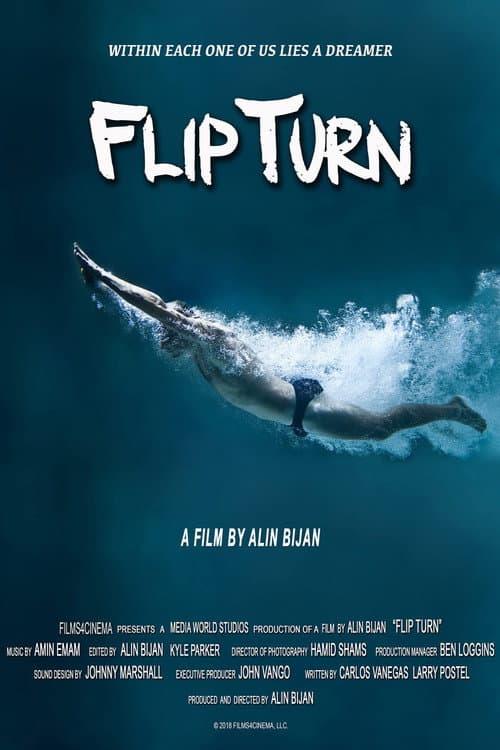 Постер: Flip Turn