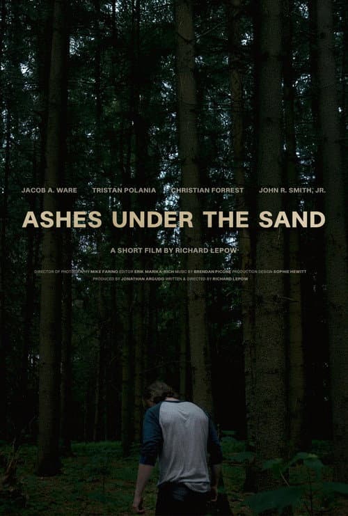 Постер: Ashes Under the Sand