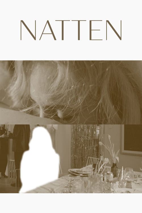 Постер: Natten