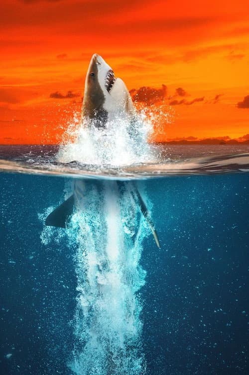 Постер: Air Jaws : Mordus de records