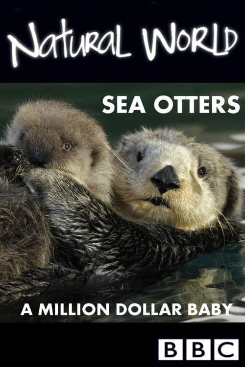 Постер: Sea Otters: A Million Dollar Baby