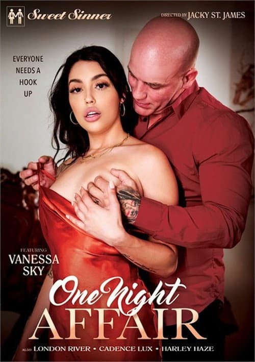 Постер: One Night Affair